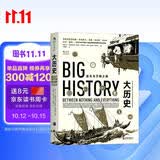 大学堂丛书063:大历史：虚无与万物之间 比尔盖茨斥资千万大型网络课程内容全收录，世界史巨擘威廉·麦克尼尔、杰里·本特利鼎力支持