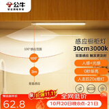 公牛（BULL）感应橱柜灯衣柜灯LED人感光感磁吸 卧室床沿玄关小夜灯30CM3000K