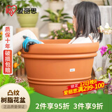 爱丽思花盆树脂塑料多肉花盆防陶瓷种花种树凸纹爱丽丝 6号米白2个装