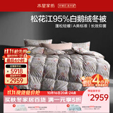 水星家纺羽绒被鹅绒被95%白鹅绒被子冬被冬季加厚被芯双人200×230约5.1斤