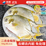 翔泰海南二去金鲳鱼700g/2条 去鳃去内脏生鲜鱼类 海鲜水产