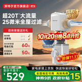 滨特尔（pentair）前置过滤器20T大通量家用25微米叠片 全屋自来水管道过滤器大流量净水器排行前十名 【新款升级】L250抗菌叠片-25μm