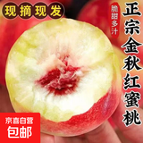 山东蒙阴金秋红蜜水果桃子蜜桃生鲜应季采摘时令沂蒙山特产 2粒（大果）