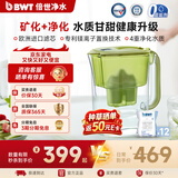 倍世（BWT）净水壶滤水壶净水器家用 欧洲去水垢滤芯 益家4.2升大容量 过滤水壶 厨房客厅通用  年会年货送礼 【去水垢滤芯】1壶12芯 绿色