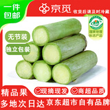 京觅陶山甘蔗 无节短款装(5-8厘米）4.8斤 水果新鲜甘蔗 源头直发