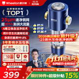 惠尔顿前置过滤器20T大通量过滤25微米反冲洗家用全屋净水器 实时自动清洗刮洗自来水防爆过滤器P0038pro 自行安装【20T-升级25微米精滤】