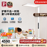 Paulmann P德国柏曼立式护眼灯 LED全光谱骑士大路灯儿童学习读写护眼台灯 测试