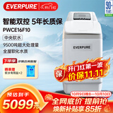 爱惠浦（Everpure）全屋中央过滤 美肤洗浴 呵护衣物 家用软化水质净水器 1.1吨/小时 9500吨制水量 软水机PWCE16F10