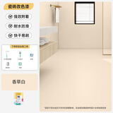 三青瓷砖漆改色厨卫陶瓷大理石台面地砖专用翻新改色漆水性真石艺术漆 香草白 1kg【约涂刷5㎡/两遍】