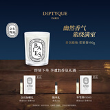 蒂普提克（Diptyque）香氛蜡烛浆果香190g果香调香氛卧室生日礼物香薰蜡烛 