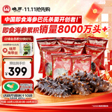 晓芹大连冷冻即食海参500g 7-9只 辽刺参 海鲜水产