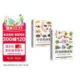 药用植物图鉴+中草药图鉴套装（全2册）生活百科全图鉴