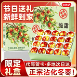 京地达山东沾化冬枣水果礼盒装新鲜大枣整箱净重4斤单果20g+源头直发