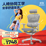 Ergonor保友金豪b雄鹰/悦动 人体工学椅护腰办公椅电脑椅 银白(云感坐垫)