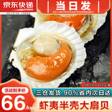 海泽鲜 鲜冻虾夷半壳特大扇贝1000g  海鲜烧烤食材超大号蒜蓉粉丝扇贝肉 【虾夷大扇贝】 400g(净重)  -450g