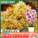 德沃多水苔约12L(二级)营养土爬宠乌龟冬眠蝴蝶兰君子兰花苔藓种植盆栽