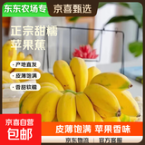 【东东农场专供】广东徐闻苹果粉蕉应季水果新鲜现摘软糯香蕉 净重2斤装6-12根 青果发货