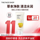 菲诗小铺（THE FACE SHOP）草本芦荟洗面奶170g清洁补水大容量洗脸双十一礼物送女友 柠檬170g-清爽控油