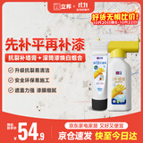 立邦钉眼孔洞修复包基础版墙面抗裂白色 补墙膏100ml+补墙漆500g