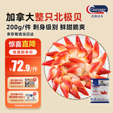 Clearwater北极清水加拿大北极贝200g12-16只整只北极贝刺身日料海鲜水产