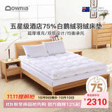 Downia床褥 五星级酒店同款75%白鹅绒羽绒床褥垫子 厚榻榻米垫子1.8米床