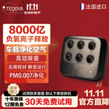 得康氧 法国进口车载负离子发生器TEQOYANomad除甲醛除异味无耗材小型车载空气净化器负氧离子 Nomad随行