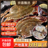 连云港梭子蟹活冻蟹鲜活速冻冰鲜野生海蟹飞蟹公蟹大蟹一整箱包邮 [大号公蟹]6-8两/只5斤净重