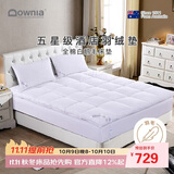 Downia床褥 全棉羽绒鹅毛床褥垫子 透气榻榻米羽绒垫 填充2.5kg 1.5米床