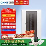 正泰强电箱配电箱明装13回路NEX5-C11300M