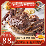 仙鲜福俄罗斯帝王蟹棕蟹螃蟹鲜活冷冻进口黄金帝皇蟹海鲜阿拉斯加蟹生鲜 3.6斤/只（净重3.6-4斤）赠多宝鱼