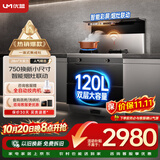 优盟（UM）集成灶一体式750mm小户型家用大吸力侧吸下排自清洁小尺寸抽油烟机燃气灶套装天然气JJZT-UJ257