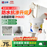 立邦开学季补墙膏墙面修复防水防霉抗菌修补膏堵洞腻子膏白色2.5kg