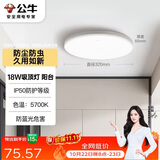 公牛（BULL）吸顶灯IP50防尘防虫卧室阳台过道灯MX-A018C-AS全白18W 