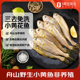 1号会员店（One's Member）舟山海捕三去小黄鱼(16-20条) 800g 黄花鱼 深海鱼生鲜鱼类 海鲜