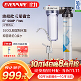 爱惠浦（Everpure） 家用矿物质厨下净水器 大流量0废水直饮 1.8L/分钟3500L处理量 EF-900P Plus