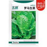 北蔬 生菜种子苗四季盆栽生吃奶油罗马生菜菜种籽 罗马生菜籽约5000粒