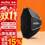 神牛（Godox）ML100BI双色温手持补光灯户外录制短视频摄影灯便携常亮夜拍灯ML-SF50八角柔光箱【官方标配】
