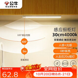 公牛（BULL）感应橱柜灯衣柜灯LED人感光感磁吸 卧室床沿玄关小夜灯30CM4000K