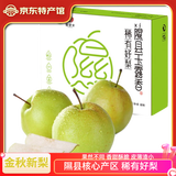 梨贡士隰县梨园 山西隰县玉露香梨 临汾馆玉露香梨脆甜多汁梨子特产 12颗大果（8斤装）