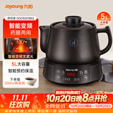 九阳（Joyoung）煎药壶中药壶熬药锅 养生壶 5L大容量 液体加热器 智能药膳煲家用DGD5003BQ
