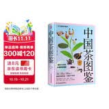 中国茶图鉴(彩插精装版)图文讲解茶学茶道茶文化及茶艺精要 一本书读懂中国茶 美食大赛