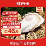 鲜京采  鲜活生蚝5XL 净重5斤 9-12只 乳山牡蛎 火锅 新鲜海鲜 贝类
