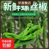 【东东买菜】新鲜薄皮肉厚香辣螺丝椒新鲜采摘青椒虎皮辣椒 新鲜螺丝椒净重3.6斤