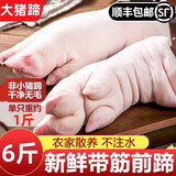 带筋纯前蹄 现杀土猪蹄整只新鲜散养农家带筋生鲜食材猪肉卤猪蹄 猪蹄纯前蹄对半切开4斤装