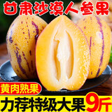 陇原红 民勤沙漠人参果大果 甘肃人生果长果黄肉孕妇宝宝水果 新鲜水果 特级大果整箱9斤净重 8.5斤 精选果