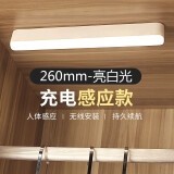 嘉伟鑫（Jiaweixin）智能无线人体感应灯节能充电小夜灯卫生间楼梯鞋柜衣柜灯橱柜灯带 双倍续航款-白光【26cm1个装】