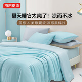 京东京造小奶盖冰丝四件套 A类爽滑被套床单款床上四件套1.8米床 海盐奶盖