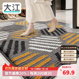 大江入户门地垫定制满铺高端玄关地毯门口脚垫进门入户地垫60x90cm