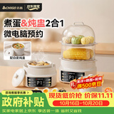志高（CHIGO）煮蛋器 电炖盅隔水炖电炖锅 蒸蛋器小型1-2人自动断电2026款 智能预约家用多功能早餐机ZNZDQ003