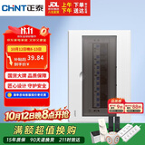 正泰强电箱配电箱明装13回路NEX5-C11300M